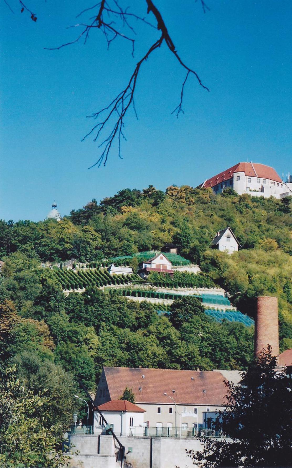 Hotel garni Zum Rebstock Naumburg  Exteriör bild