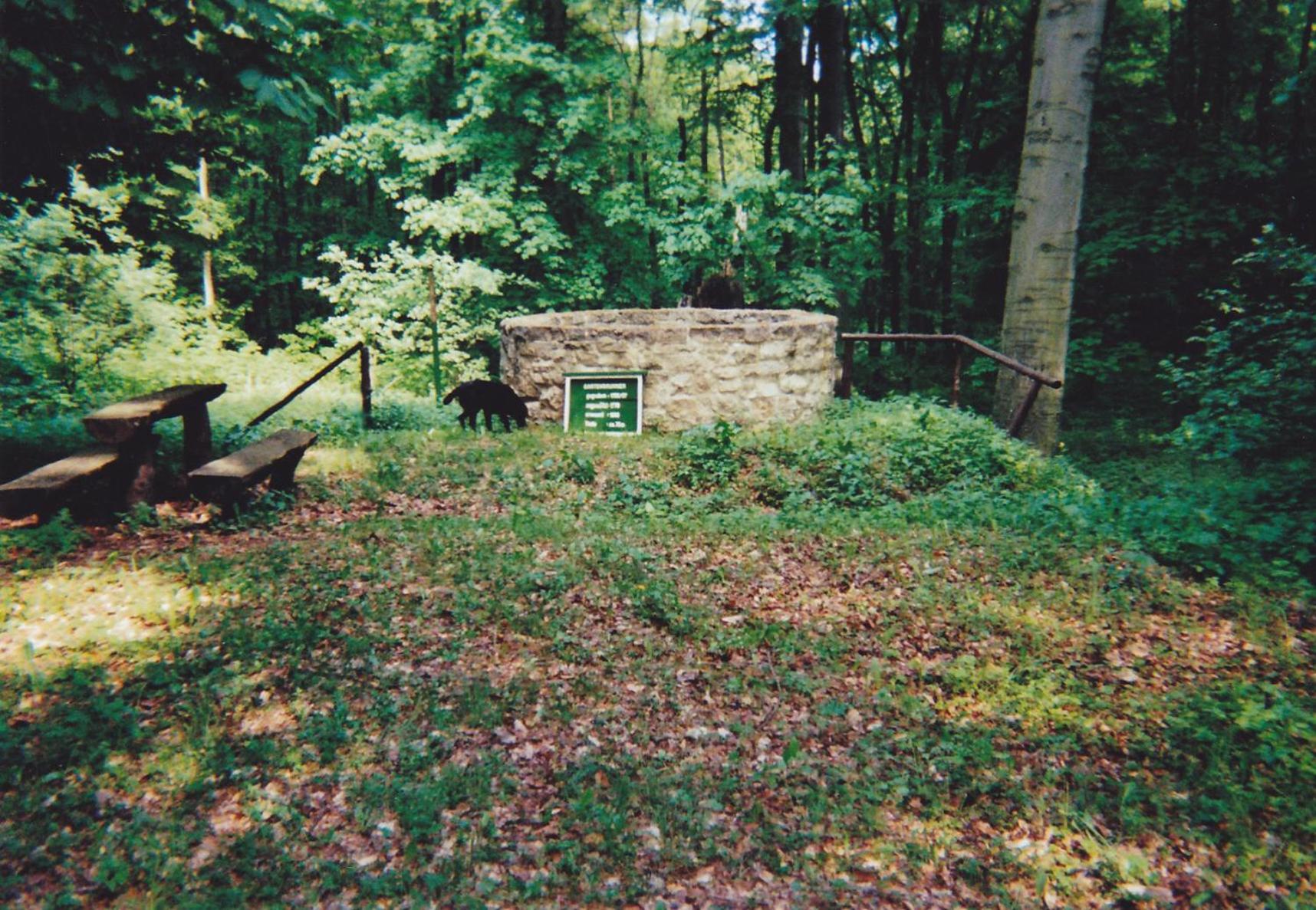 Hotel garni Zum Rebstock Naumburg  Exteriör bild