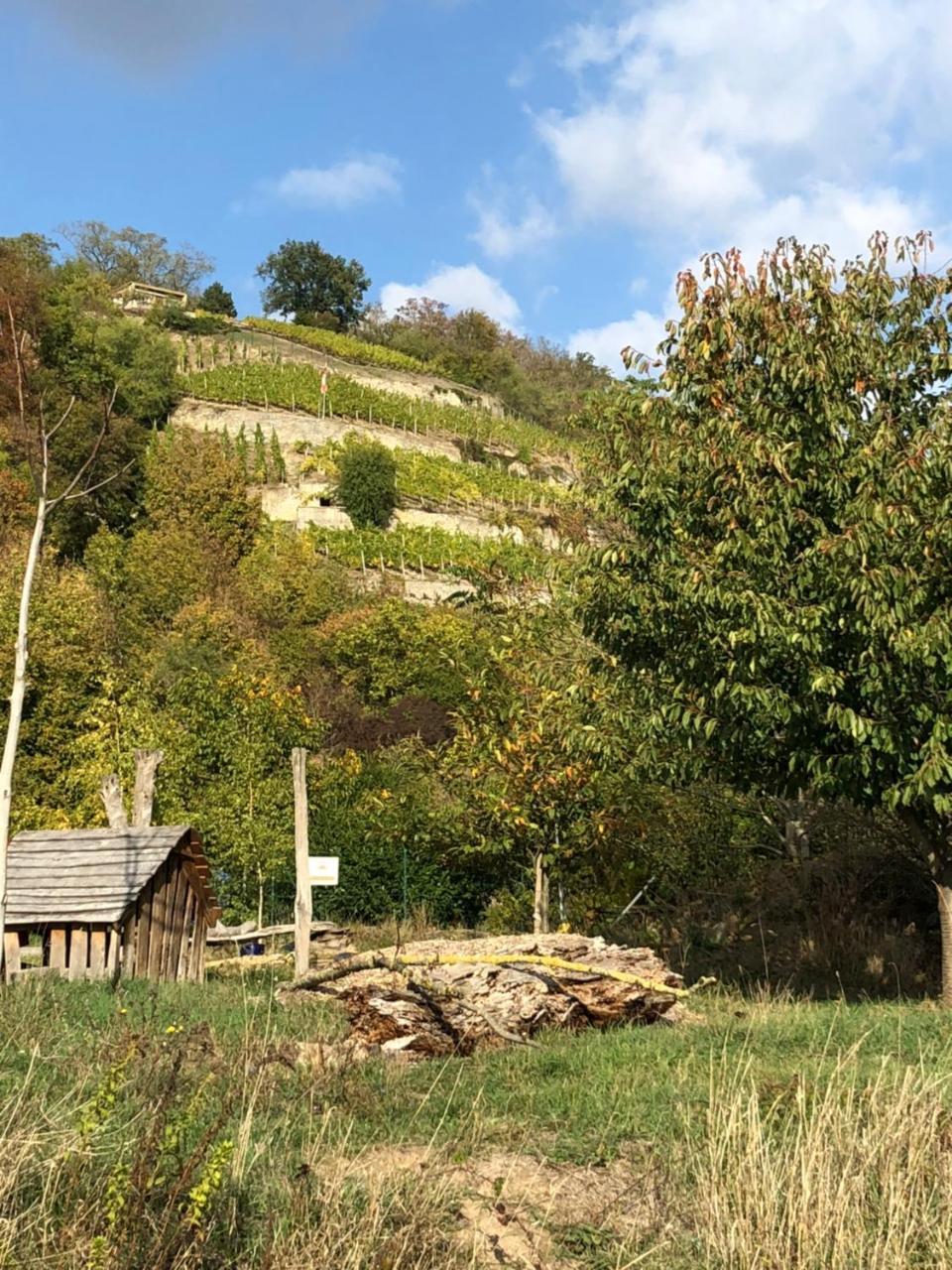 Hotel garni Zum Rebstock Naumburg  Exteriör bild