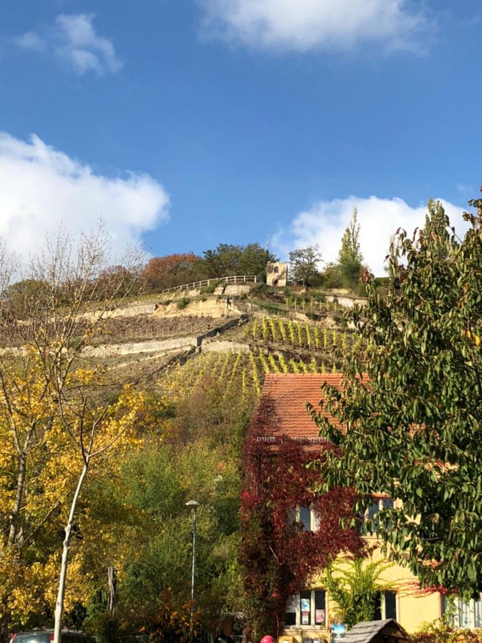 Hotel garni Zum Rebstock Naumburg  Exteriör bild